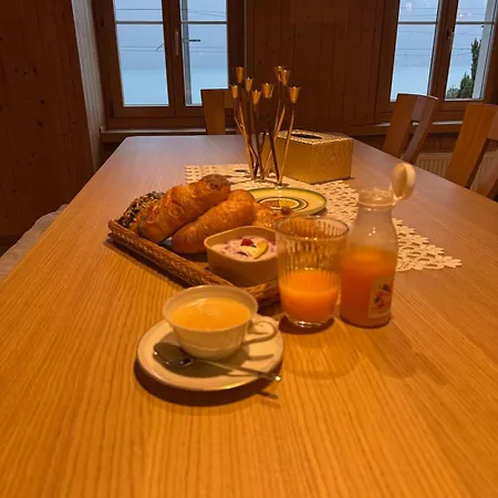 Lakeview Swiss With Hot Tub Near Interlaken