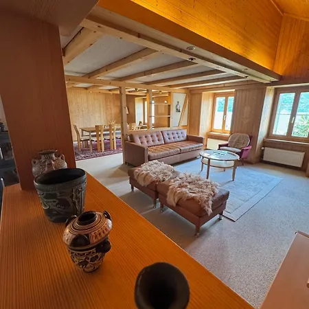 Lakeview Swiss With Hot Tub Near Interlaken Dağ evi