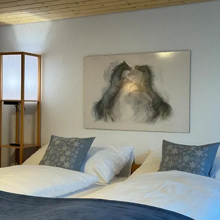 Lakeview Swiss With Hot Tub Near Interlaken