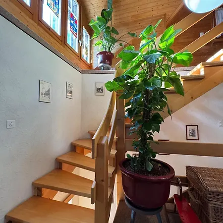 Dağ evi Lakeview Swiss With Hot Tub Near Interlaken *