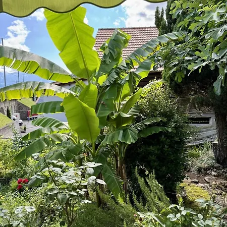 Lakeview Swiss With Hot Tub Near Interlaken Niederried bei Interlaken