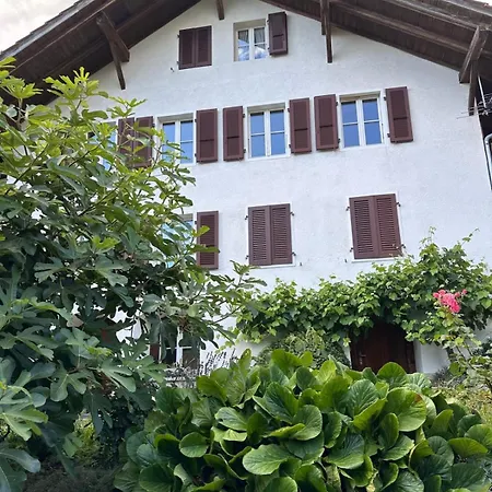 Lakeview Swiss With Hot Tub Near Interlaken Niederried bei Interlaken