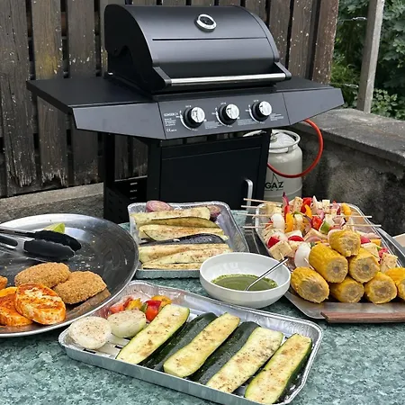 Luxury Swiss | View • Bbq • A/c • • Interlaken