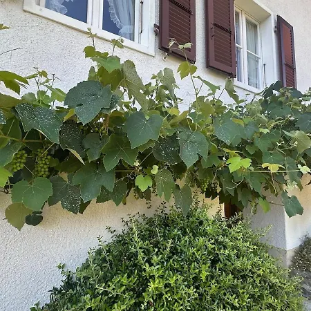 Lakeview Swiss With Hot Tub Near Interlaken Niederried bei Interlaken