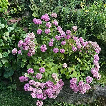 Lakeview Swiss With Hot Tub Near Interlaken Domek alpejski *