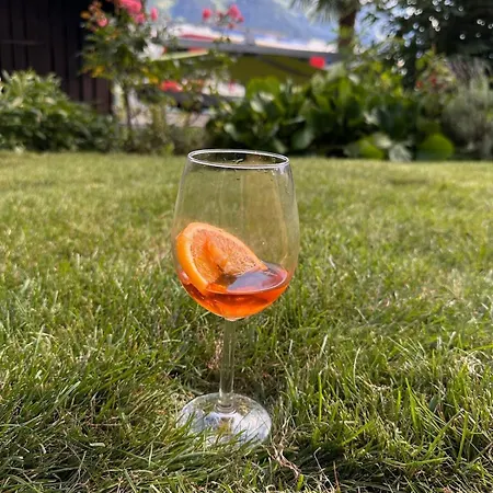 Lakeview Swiss With Hot Tub Near Interlaken