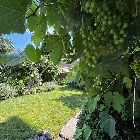 Lakeview Swiss With Hot Tub Near Interlaken * Niederried bei Interlaken