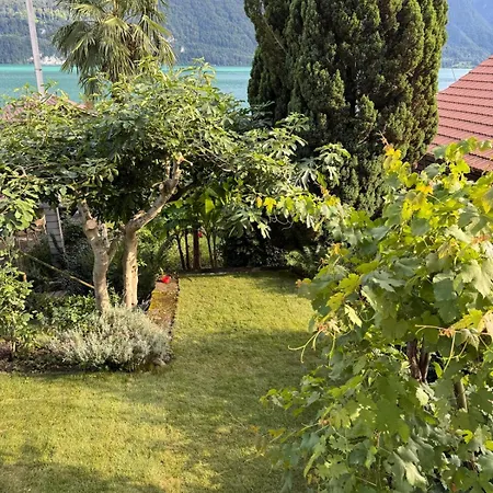 Domek alpejski Lakeview Swiss With Hot Tub Near Interlaken