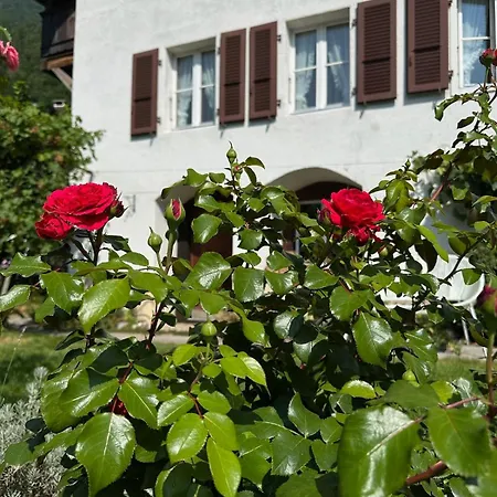 Luxury Swiss | View • Bbq • A/c • • Interlaken * Niederried bei Interlaken