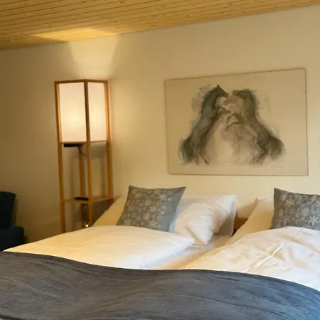 Domek alpejski Lakeview Swiss With Hot Tub Near Interlaken *