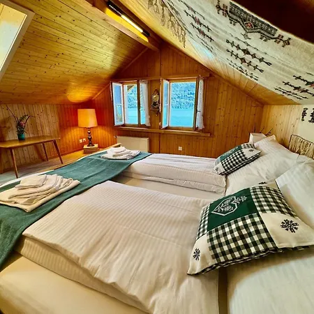 Lakeview Swiss With Hot Tub Near Interlaken Niederried bei Interlaken