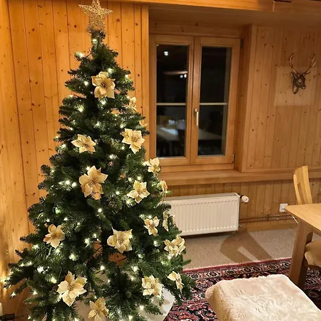 Domek alpejski Lakeview Swiss With Hot Tub Near Interlaken *