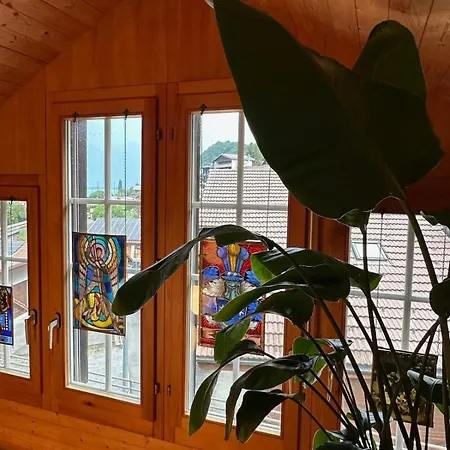 Lakeview Swiss With Hot Tub Near Interlaken