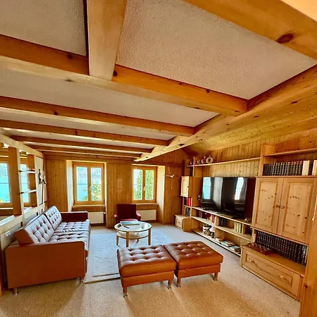 Luxury Swiss | View • Bbq • A/c • • Interlaken