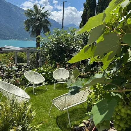 Luxury Swiss | View • Bbq • A/c • • Interlaken *