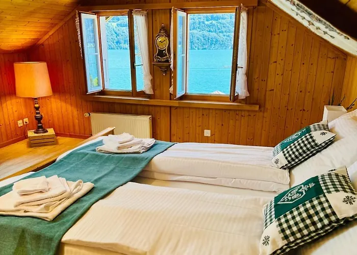 Alpehytte Lakeview Swiss With Hot Tub Near Interlaken