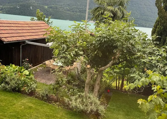 Alpehytte Lakeview Swiss With Hot Tub Near Interlaken *