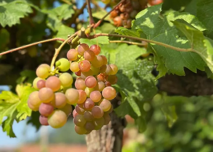 Lakeview Swiss With Hot Tub Near Interlaken Horská chata Niederried bei Interlaken