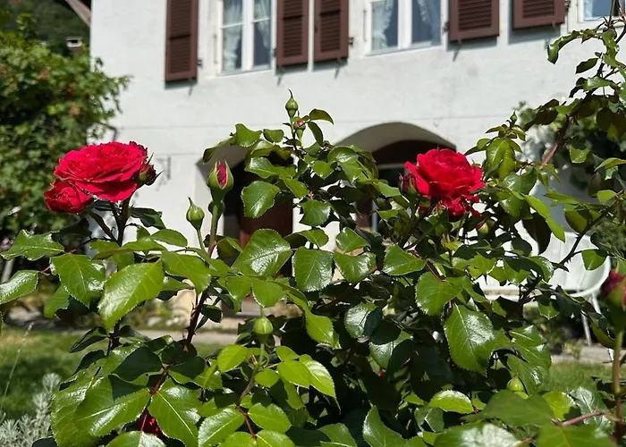 Lakeview Swiss With Hot Tub Near Interlaken * Niederried bei Interlaken