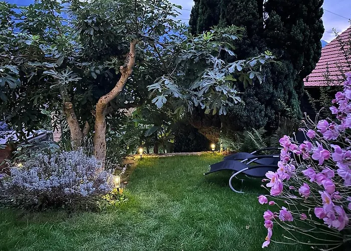 Lakeview Swiss With Hot Tub Near Interlaken *