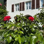 Luxury Swiss | • Ac • View • Interlaken * Niederried bei Interlaken