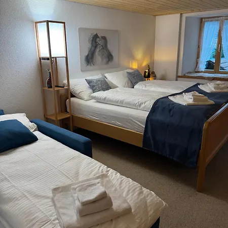 Lakeview Swiss With Hot Tub Near Interlaken