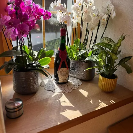 Lakeview Swiss With Hot Tub Near Interlaken Alpstuga *