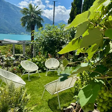 Lakeview Swiss With Hot Tub Near Interlaken *