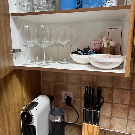 Lakeview Swiss With Hot Tub Near Interlaken *